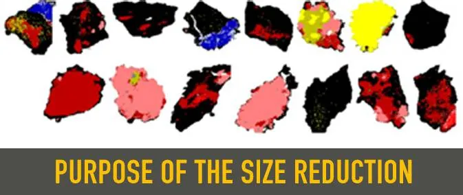 Ruprose Of The Size Reduction 