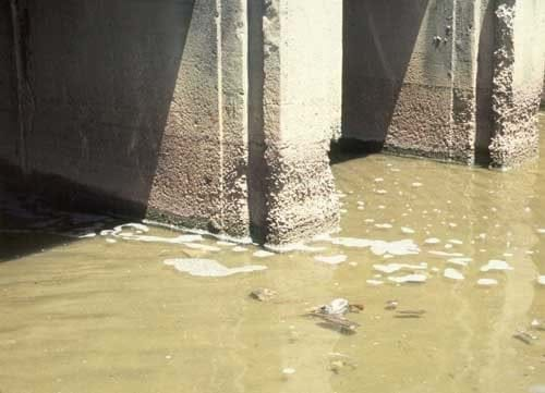 CASE STUDY: CONCRETE FAILURE - BRIDGES