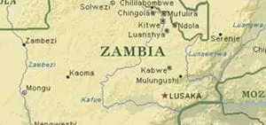 L’Exportation de C-20 Centrale à Béton à la Zambie 