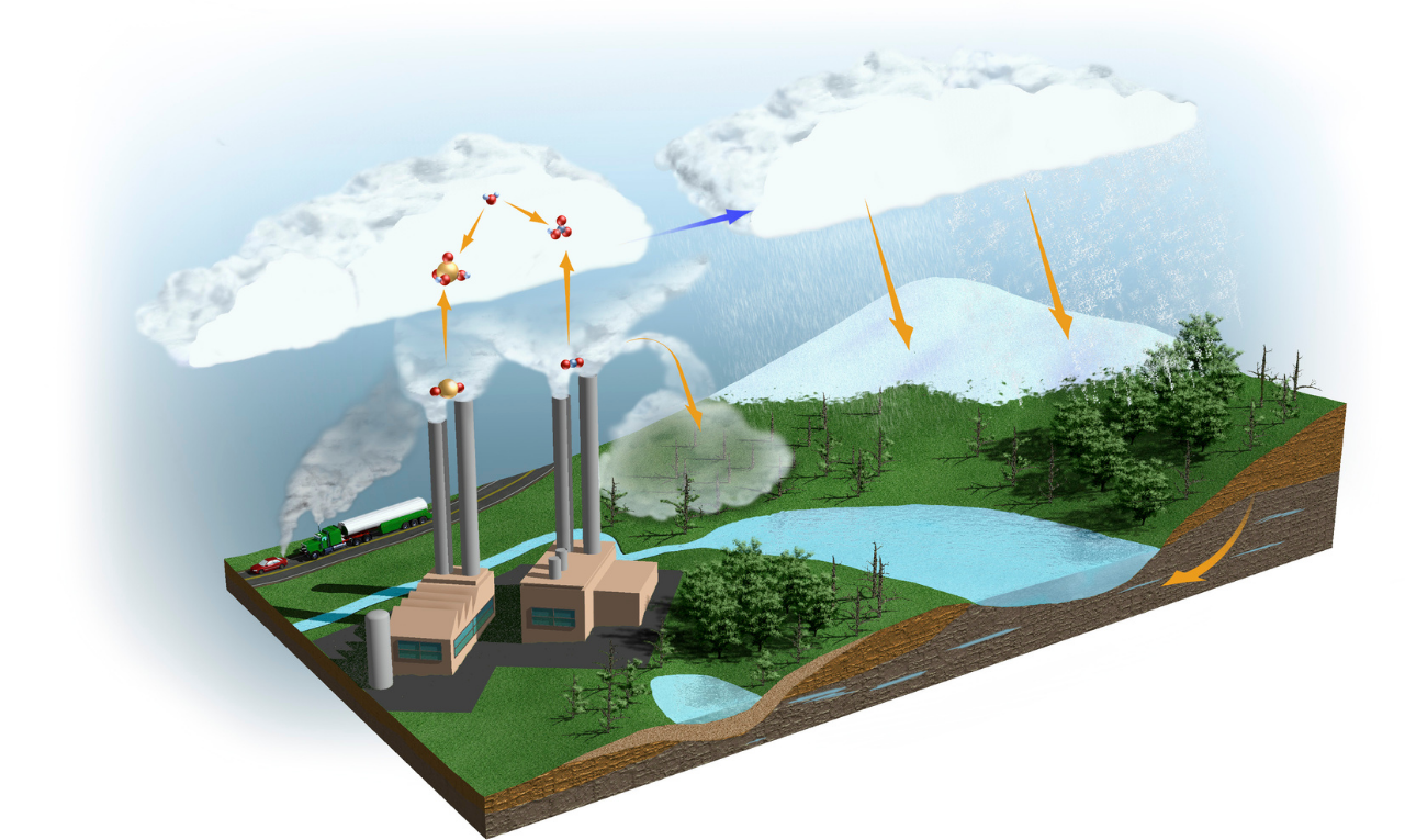 Karbon Döngüsü Nedir? Atmosferdeki Rolü ve Önemi
